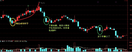 孕育線形態(tài)